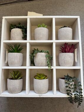 White Nine-Cubby Wall Display Shelf with Stone-Look Planters-Mini succulents